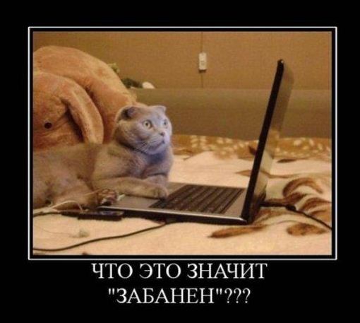 ������������ �������